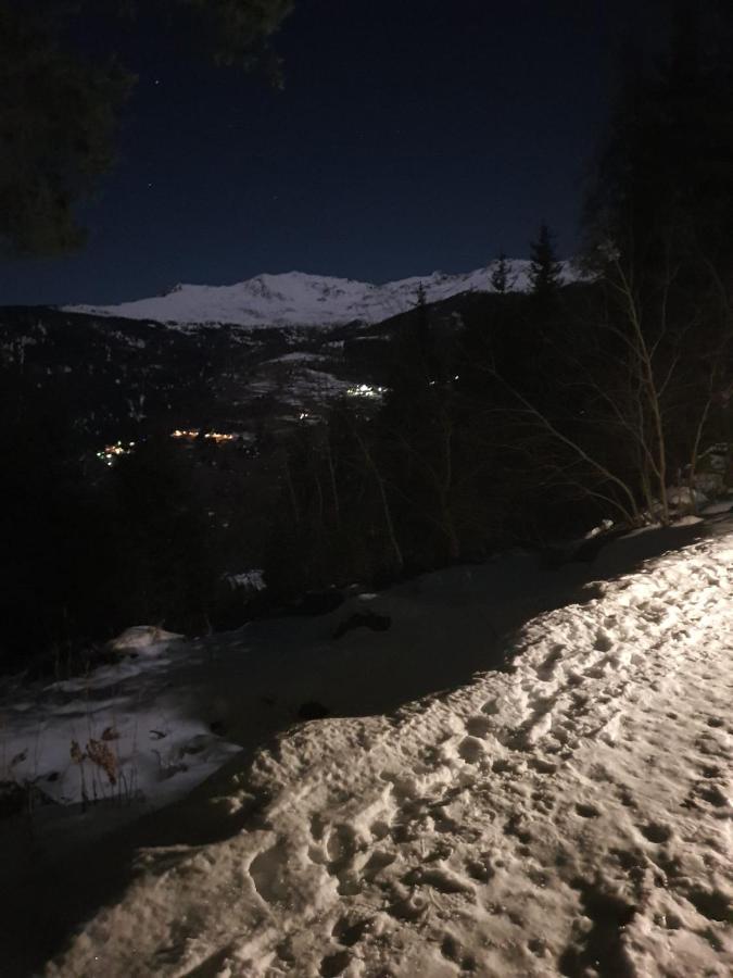 Marilleva 1400 Tra Sport E Natura Kültér fotó